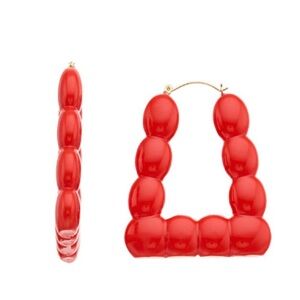 Dominique Renee earrings